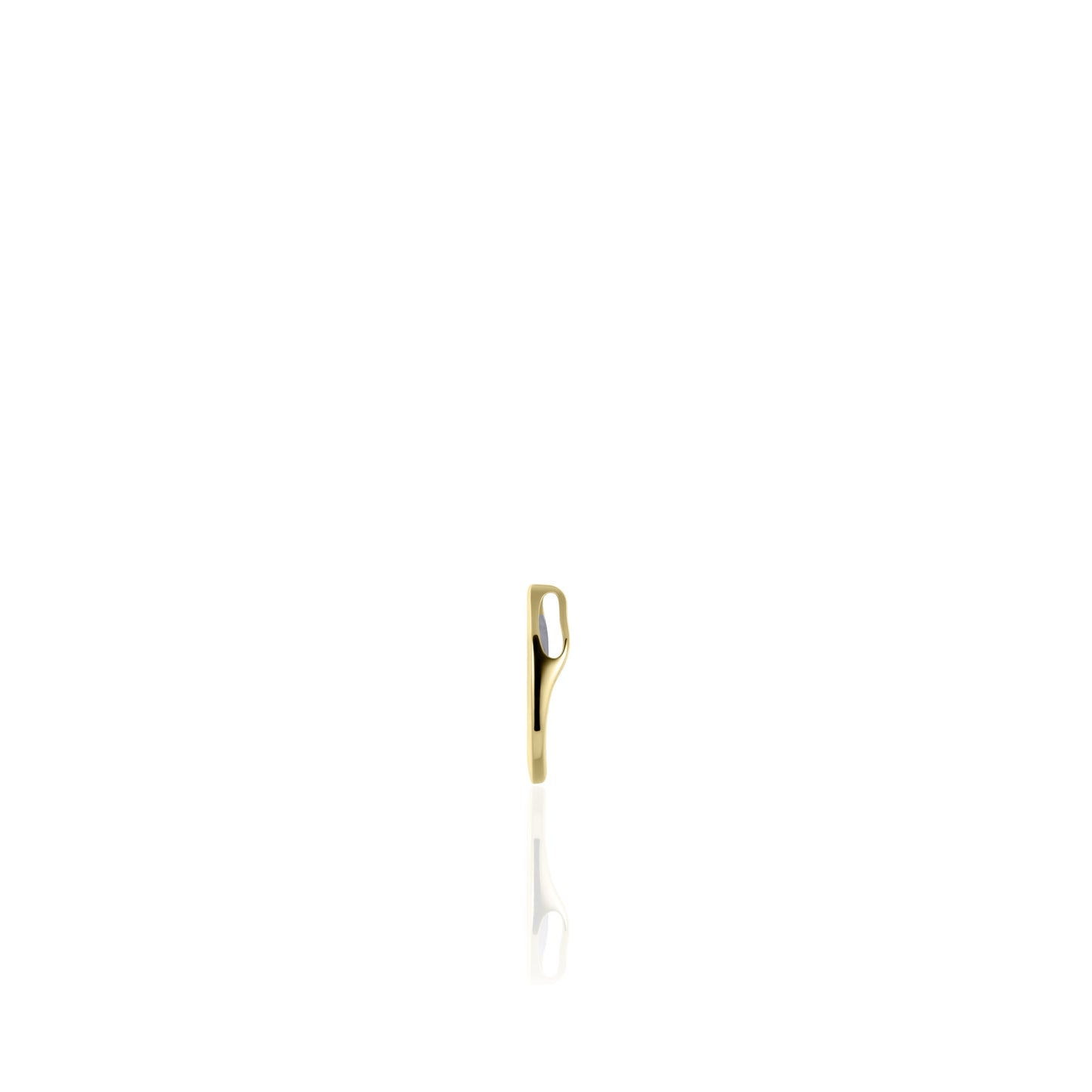 Gouden Hanger | 14k goud | Rond Met Binnen Cirkel Gezet Met Zirkonia | 12mm Ø | Bi-Color |  Ecl. Collier  