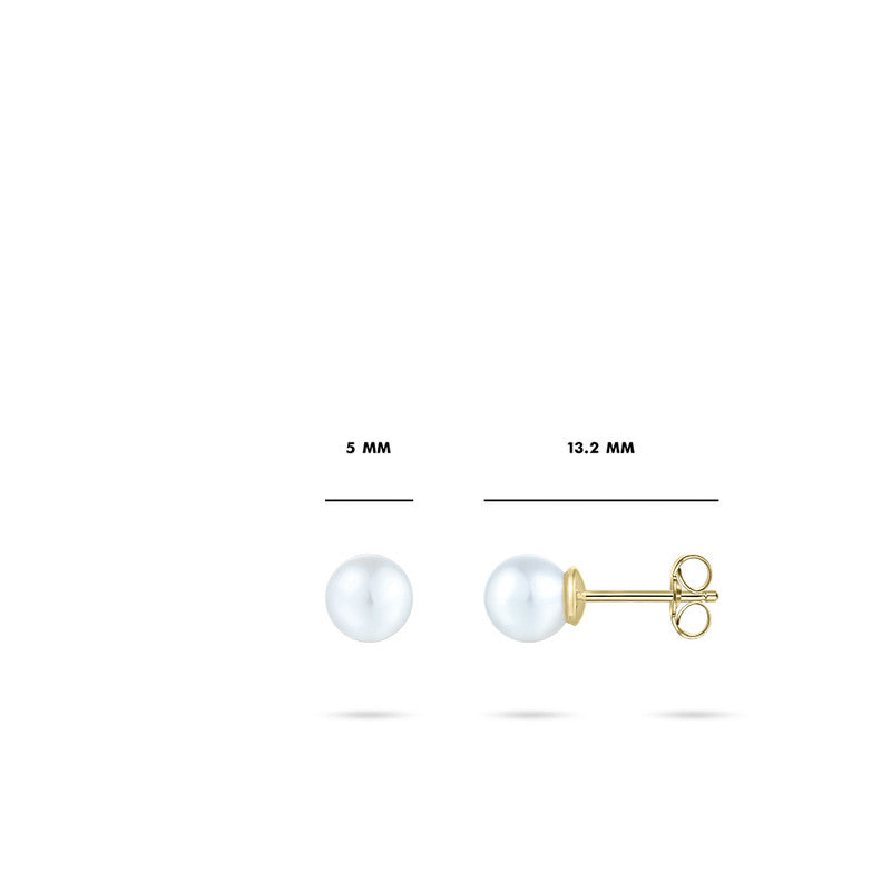 Oorstekers | 14k goud | 5 mm