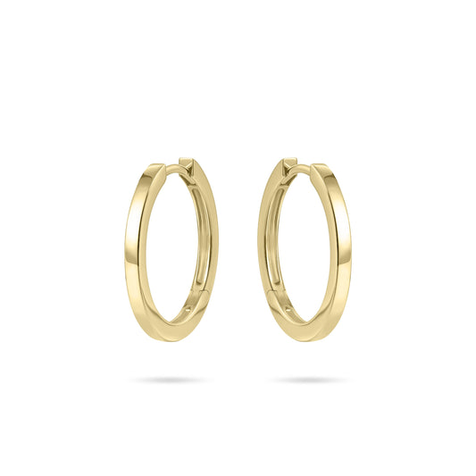 Hoops Oorbellen | 14k goud | 2 x 20 mm
